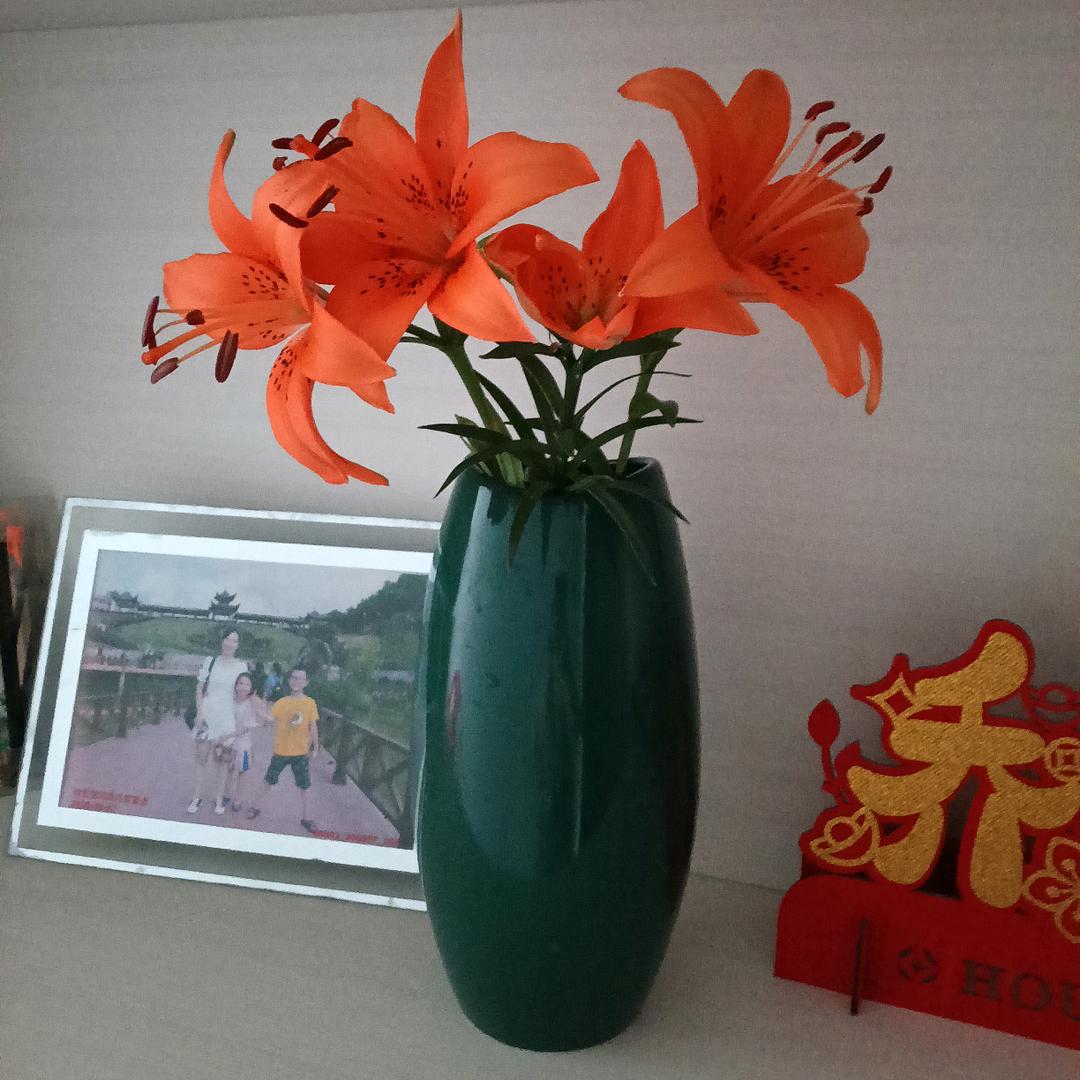 信宜妹（橱窗好物）