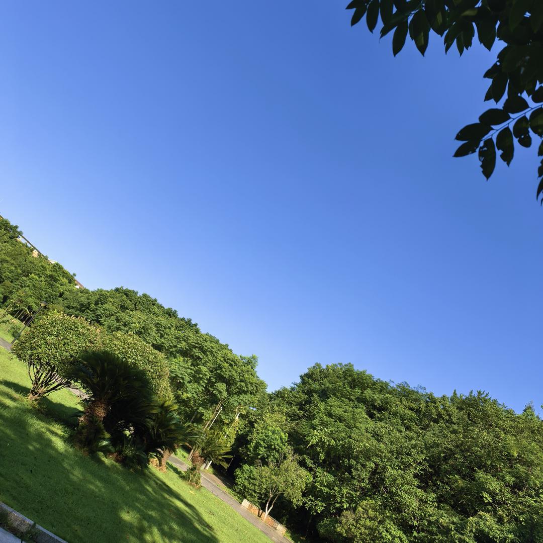 略略略