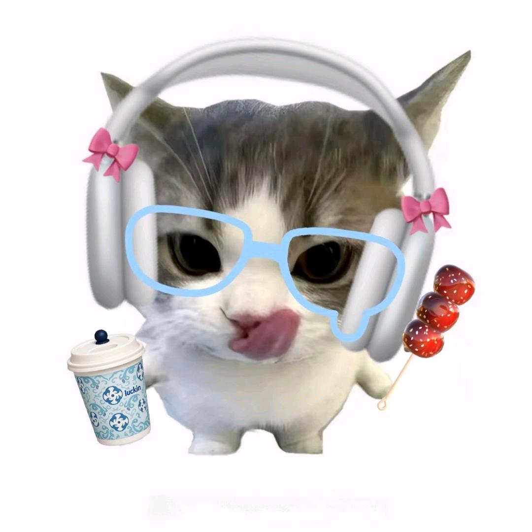 野猫🐱