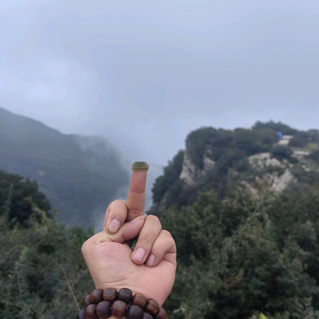 豫见灯匠