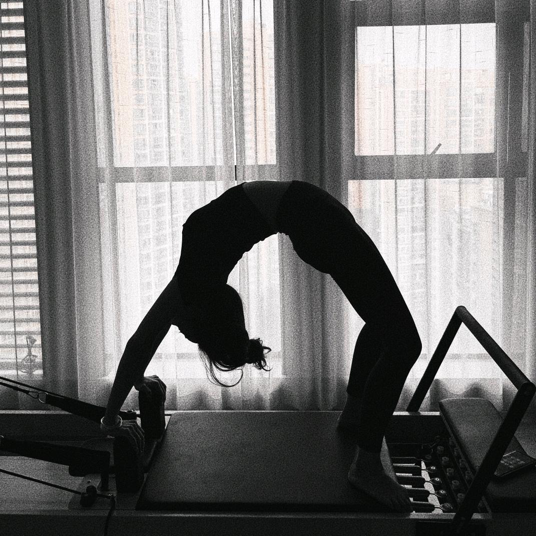 不吃芹菜的翠花儿