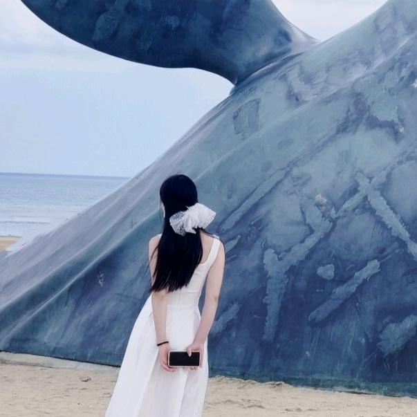 小菠菜菜菜