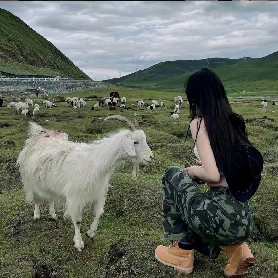 睡个好觉💤