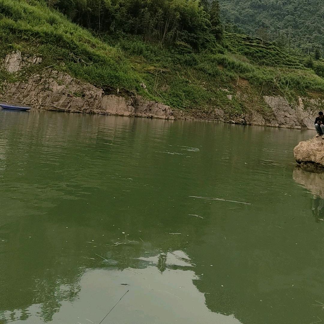 有种思念叫遗忘