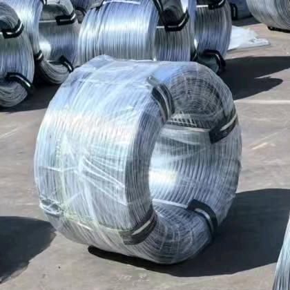 定州鼎祎镀锌丝
