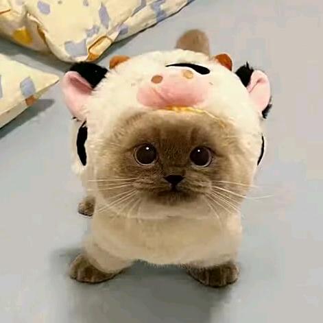 蜡笔不小心