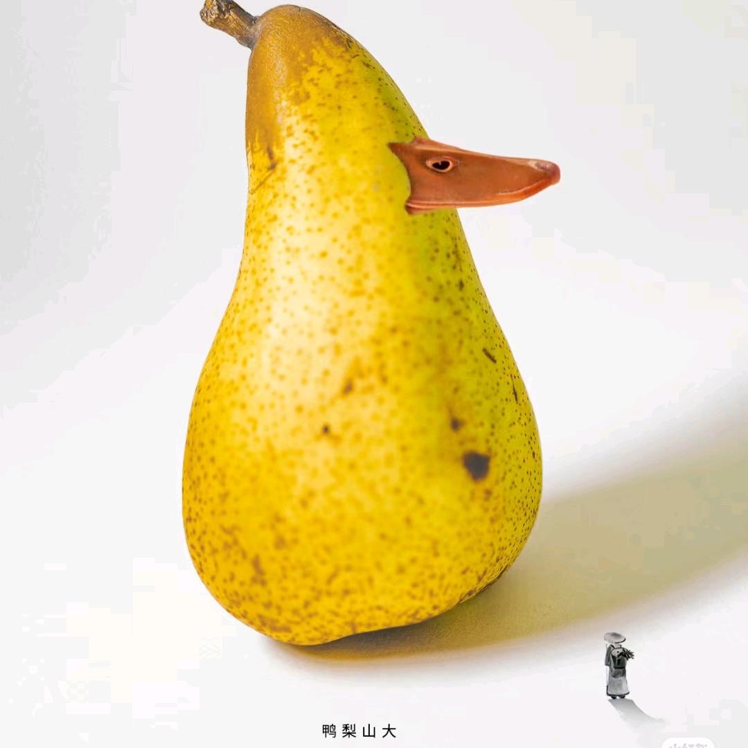 教数学的小白