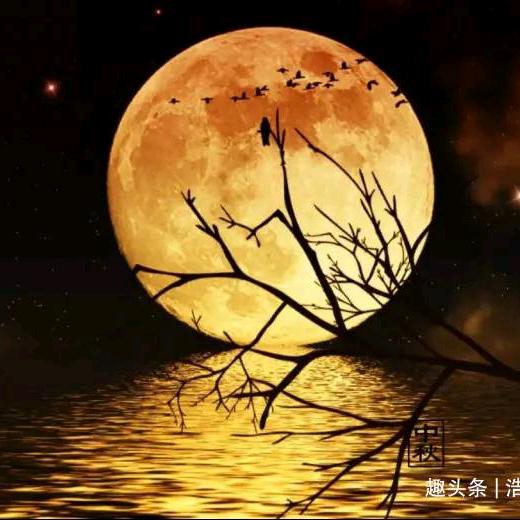 @可爱老表👌🏻