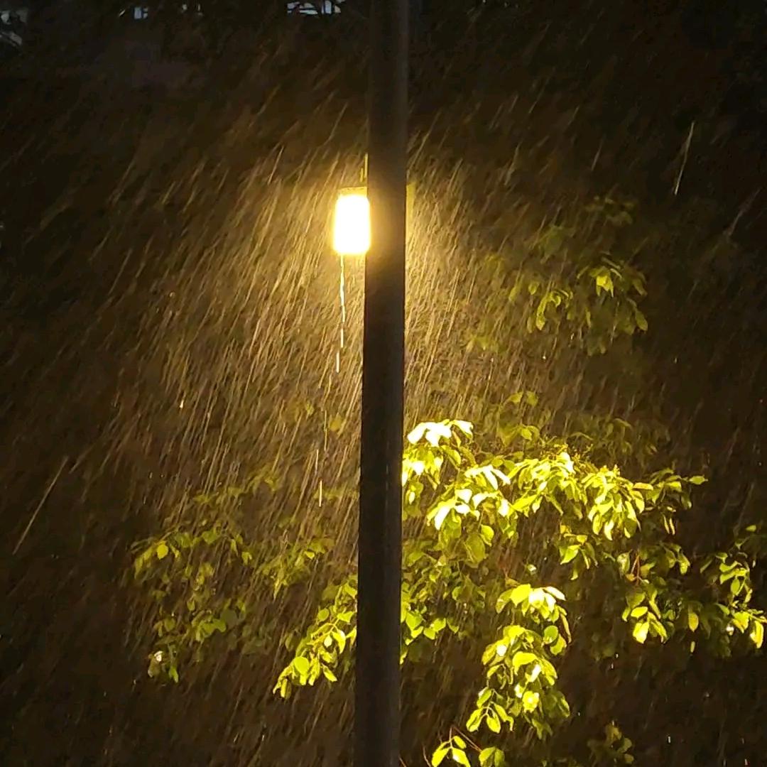 听雨楼上听风雨