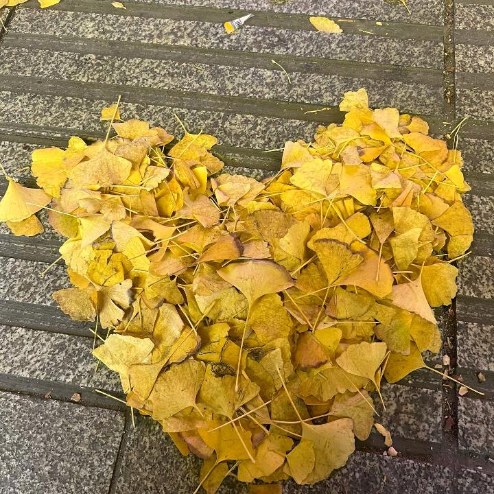 林丹💏单身🌹