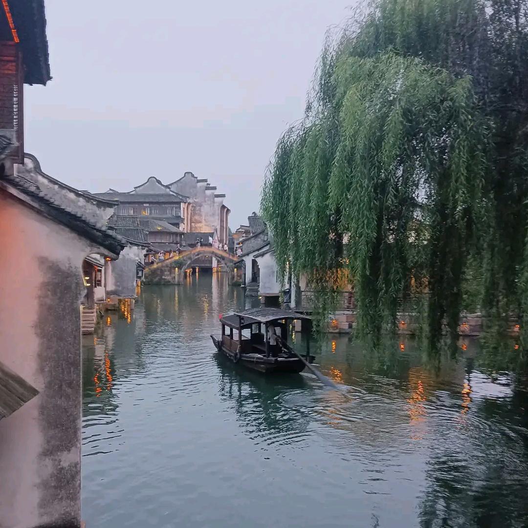 顿顿的静河