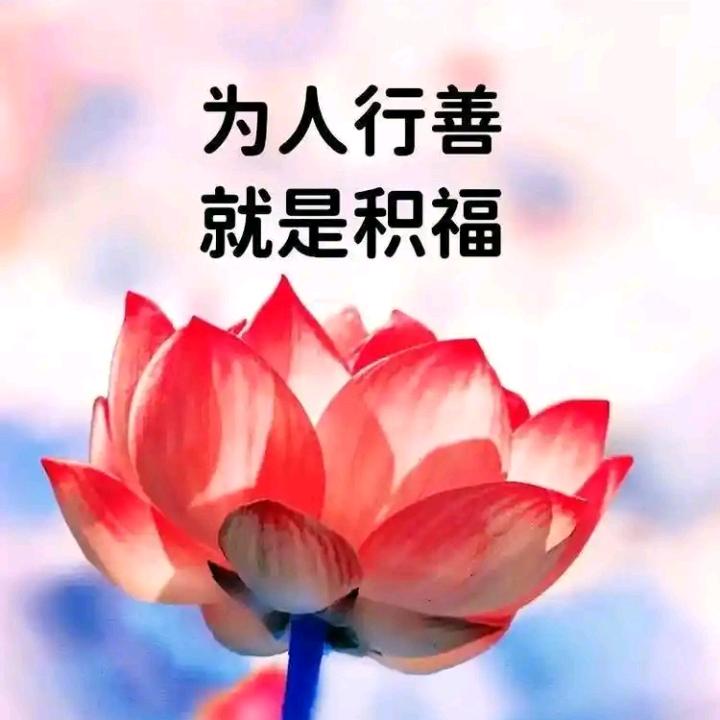 👉杨名❤️立万👈