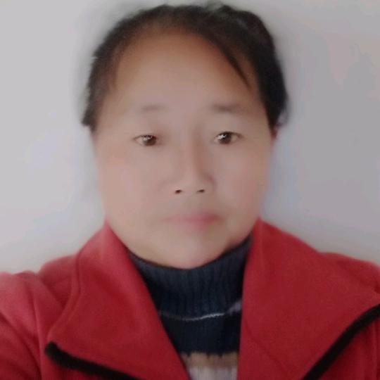老谢