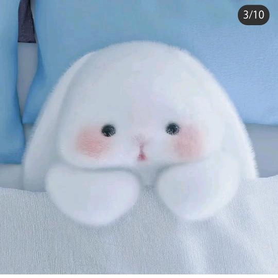 可爱的海洋生物
