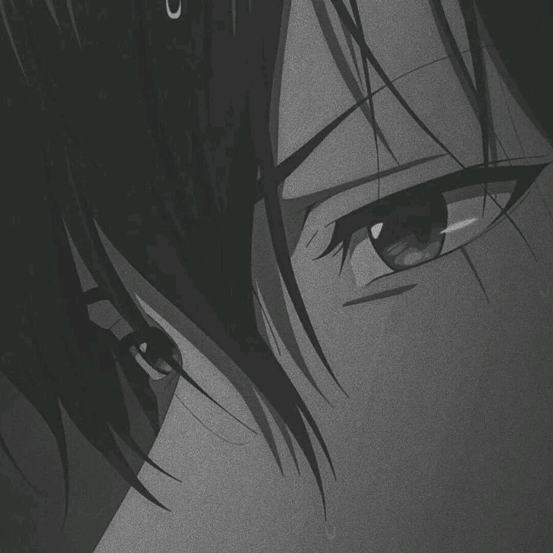 寧鸠