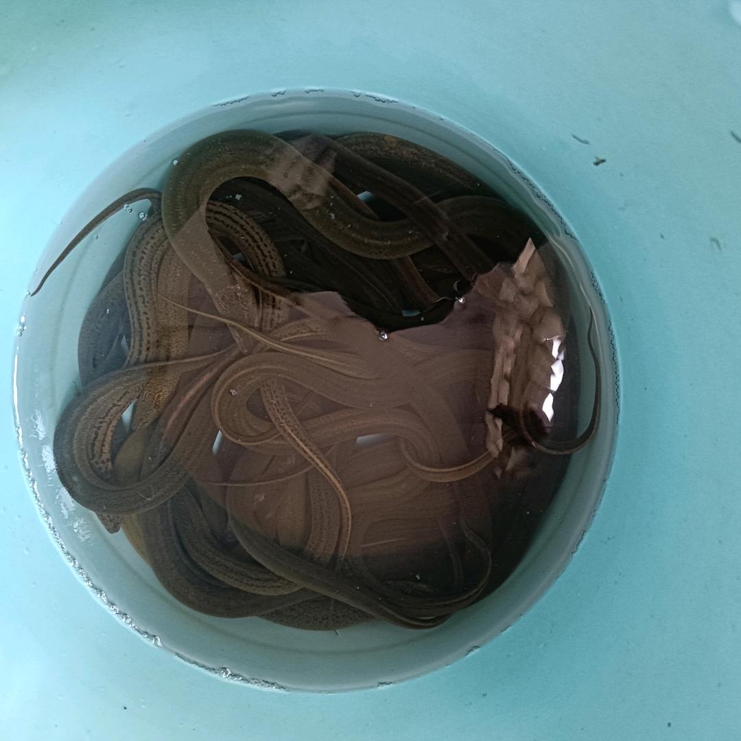 萍乡户外勇乃