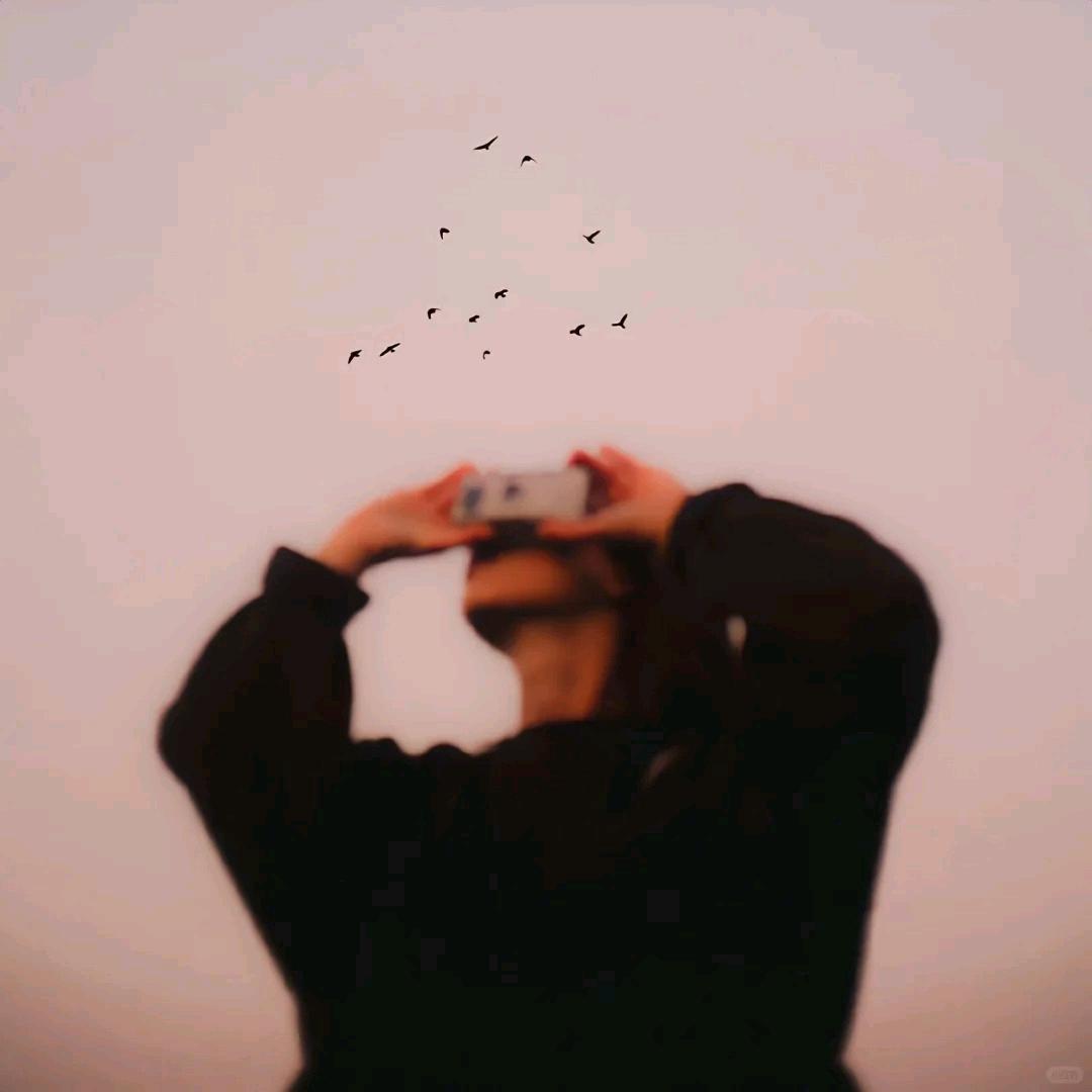 下饭电影