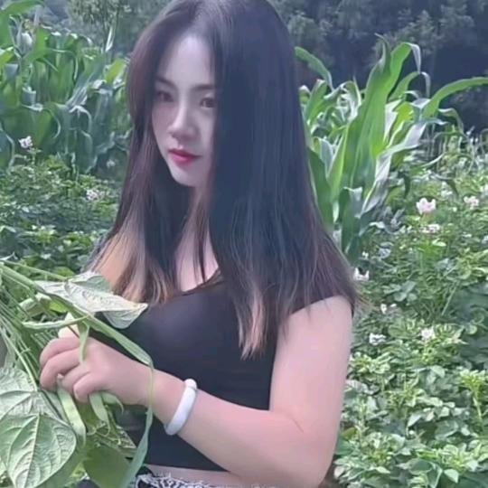 真心真意对你好