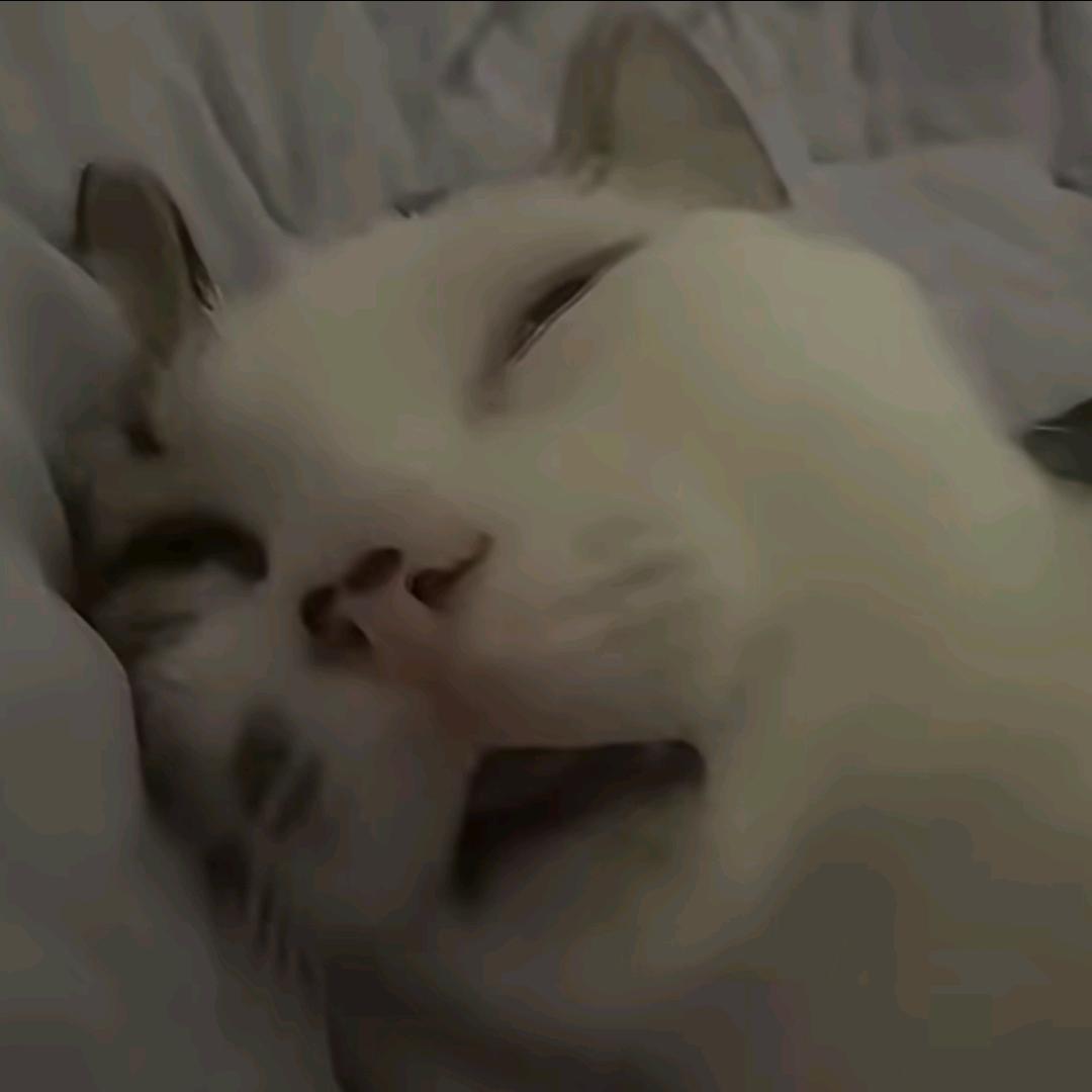 ·ࡇ·