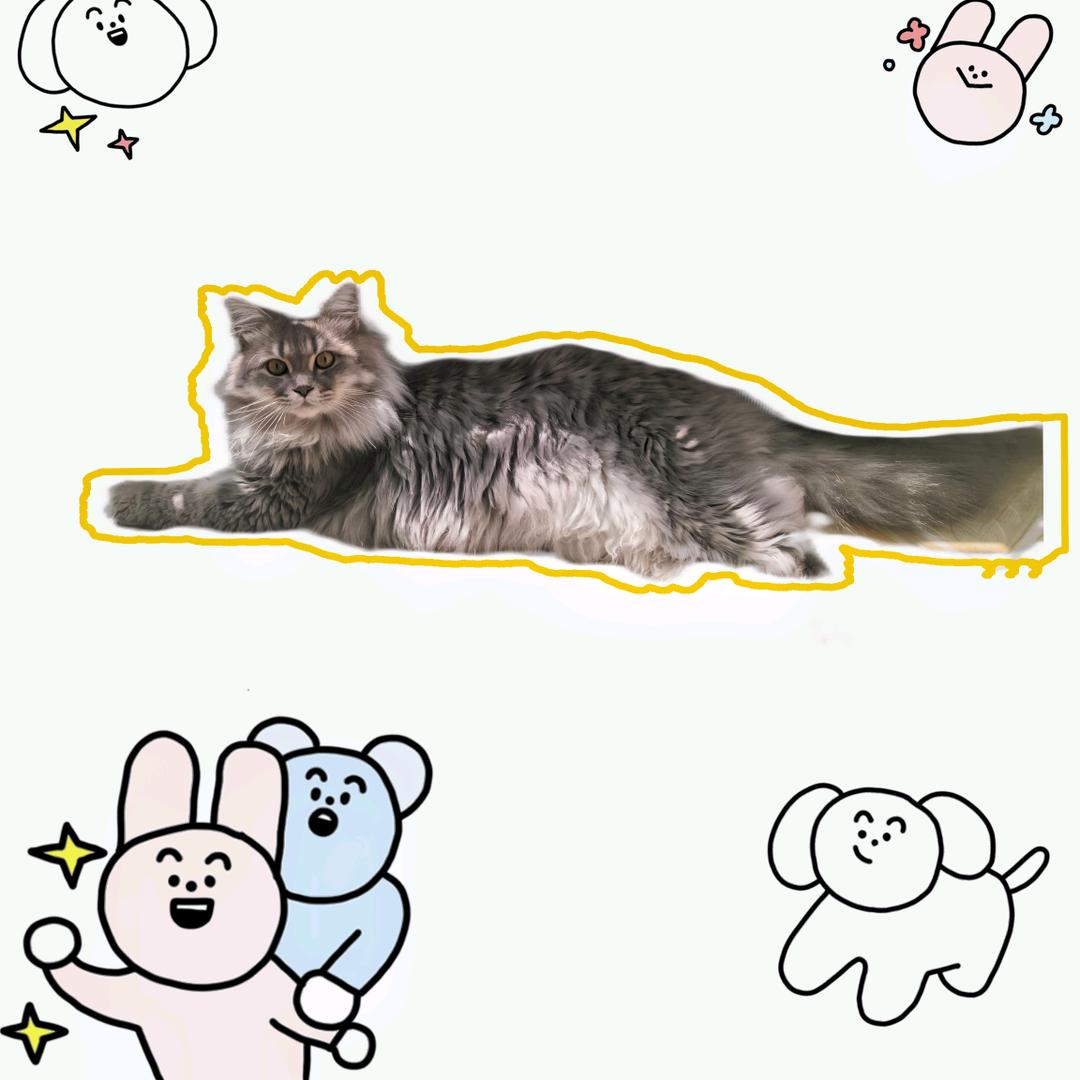 芋头会跳舞