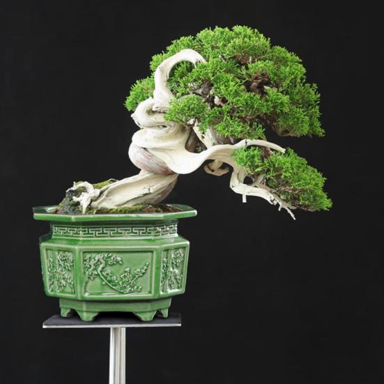 汇锦文玩