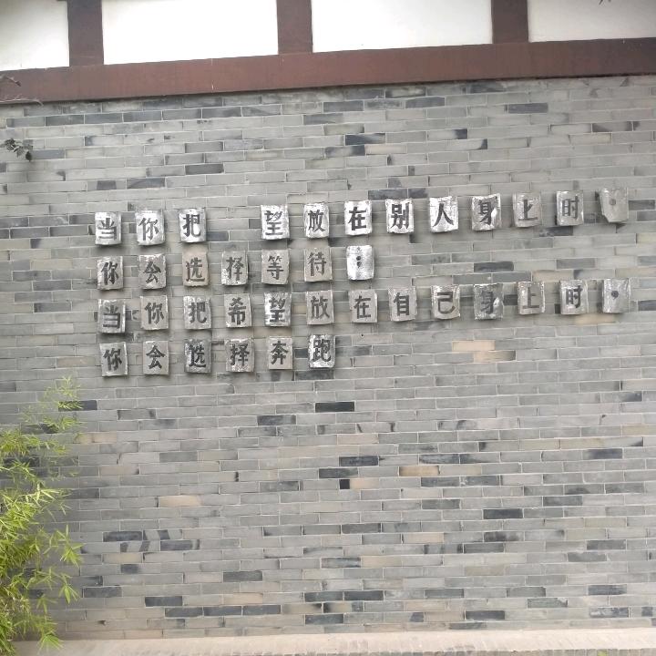 余生随愿