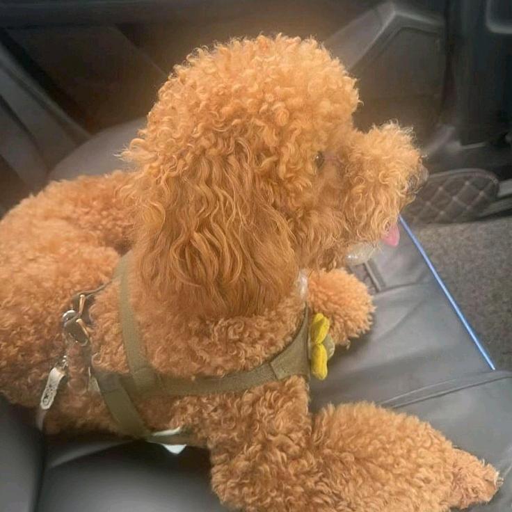 🌟你看月亮💫