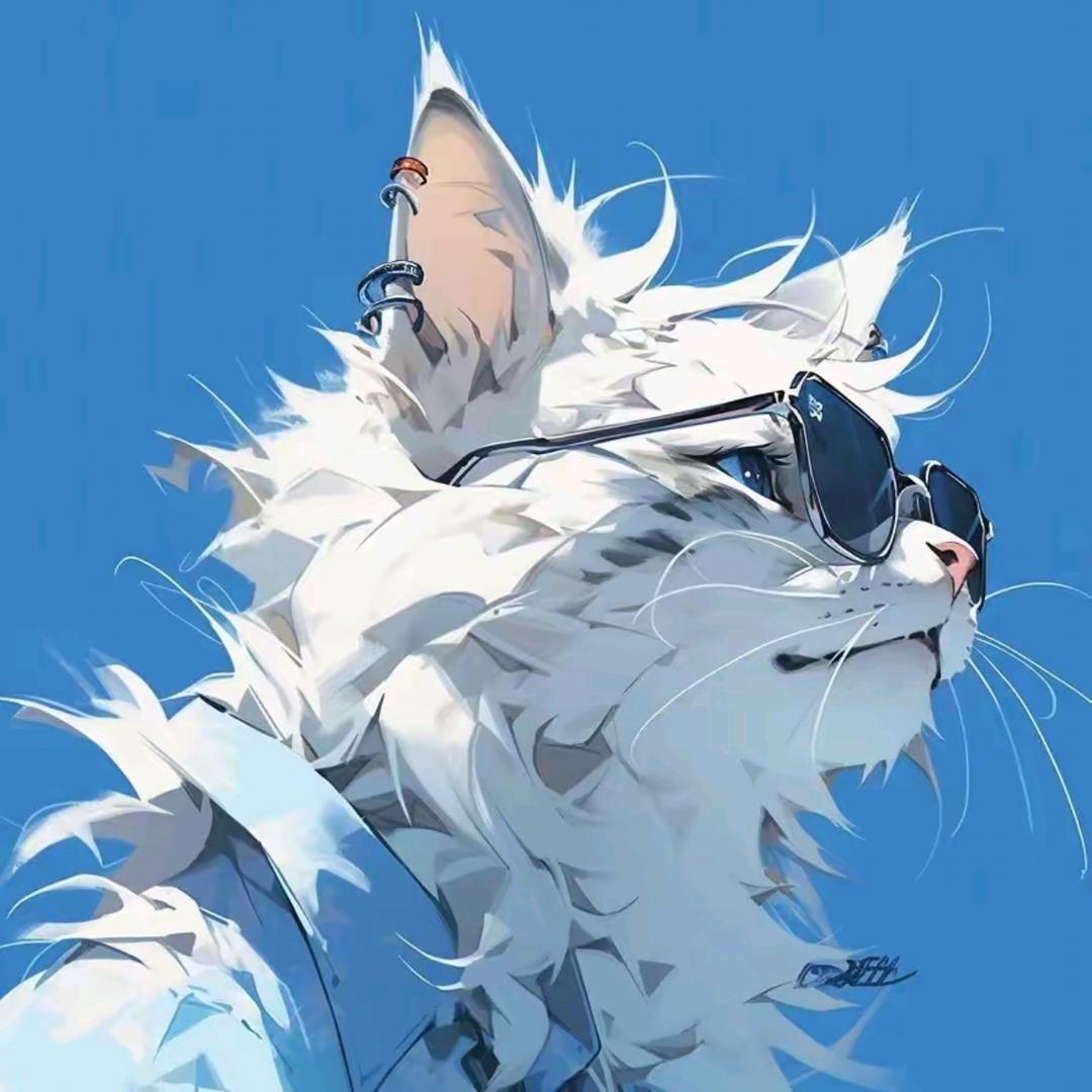 ⛵丶KK