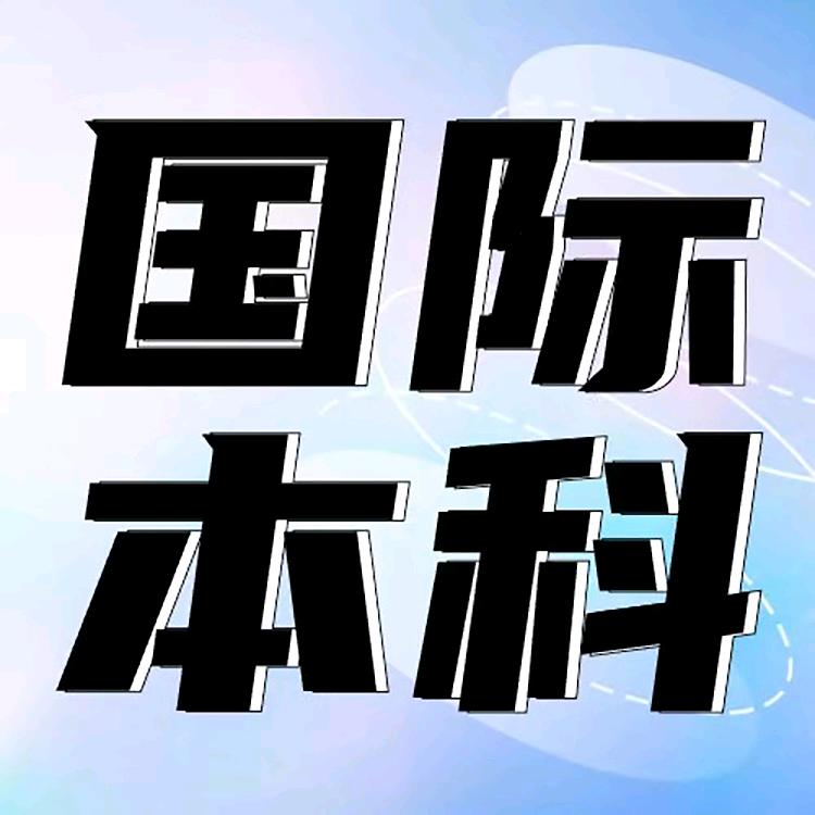 名校桥国际本科（李老师）