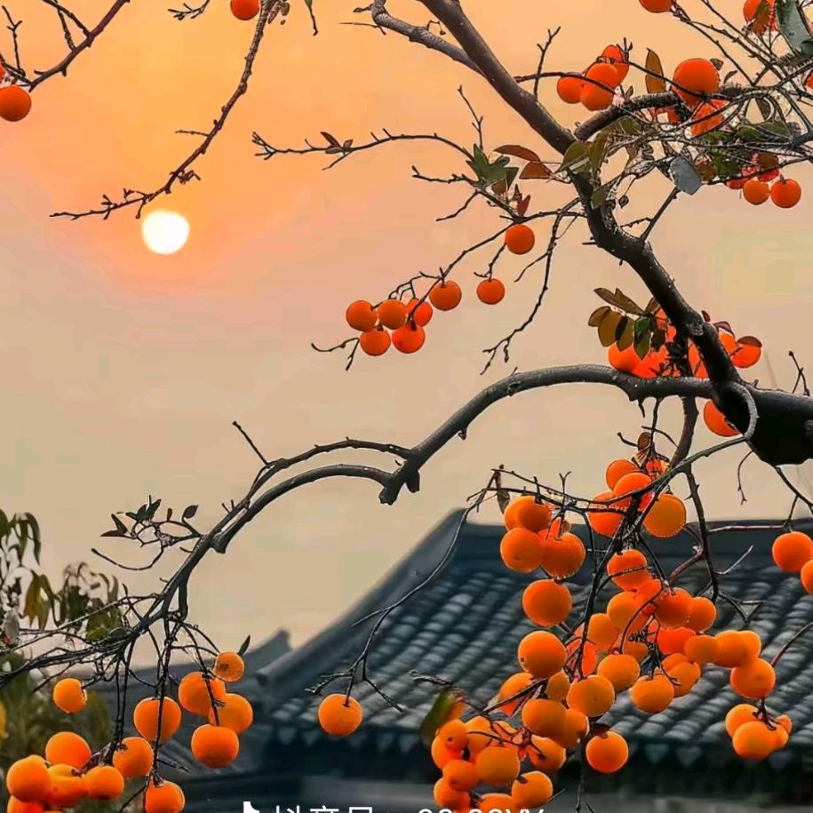 一路向前
