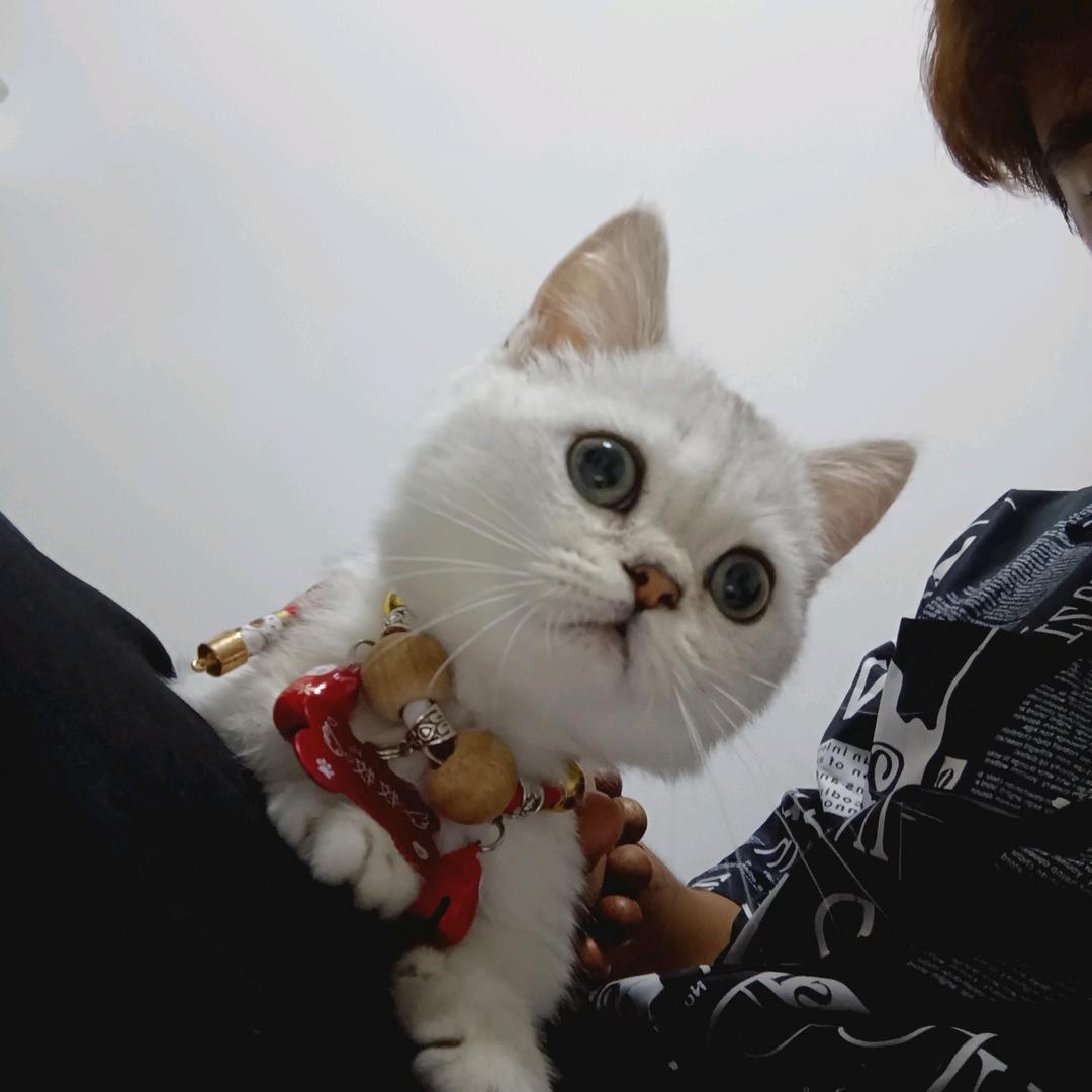 阿阳（阳仔））꧁牧牧成长记꧂（）