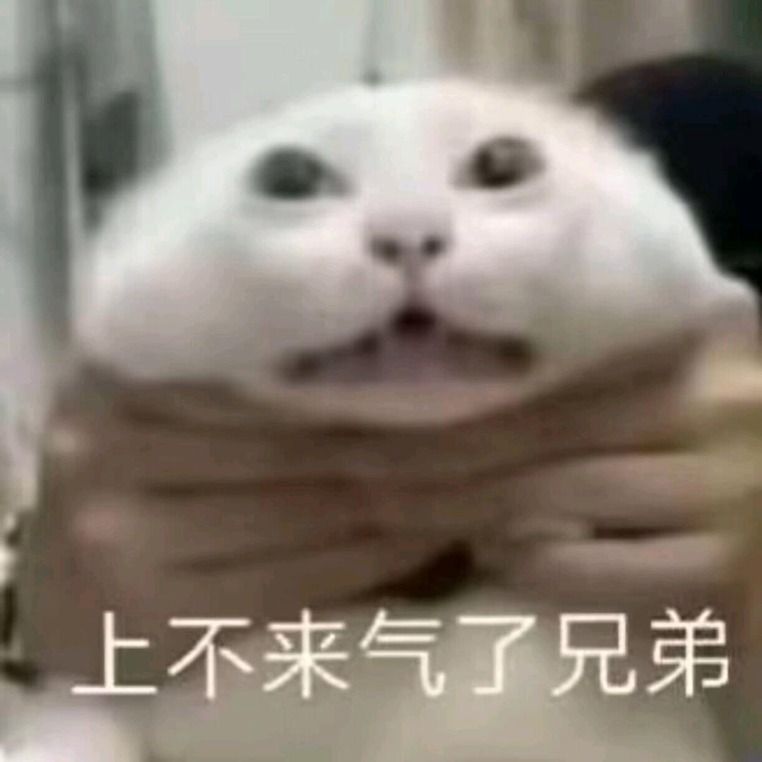 垦千