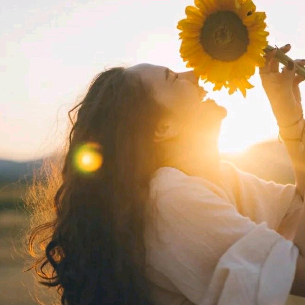 向日葵🌻🌻🌻