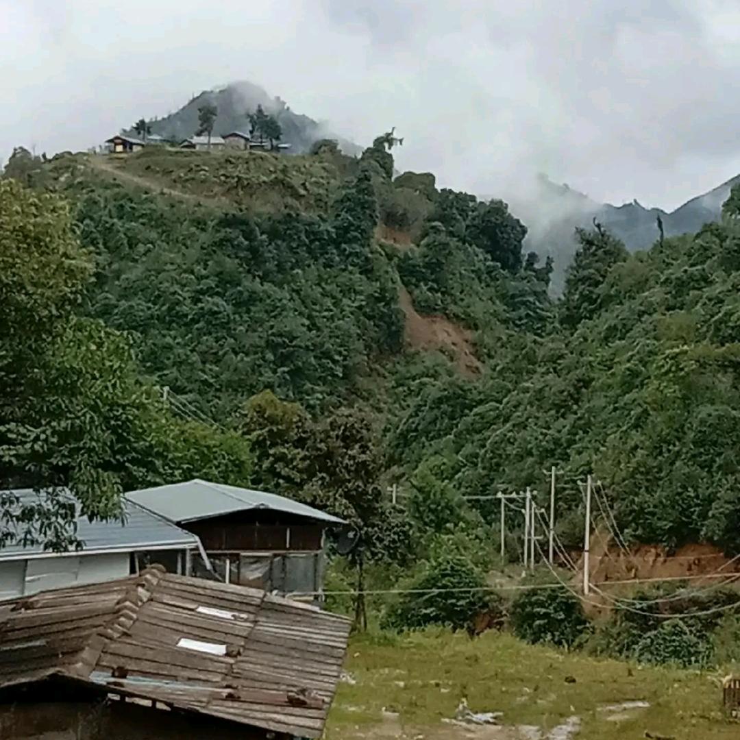 知心人
