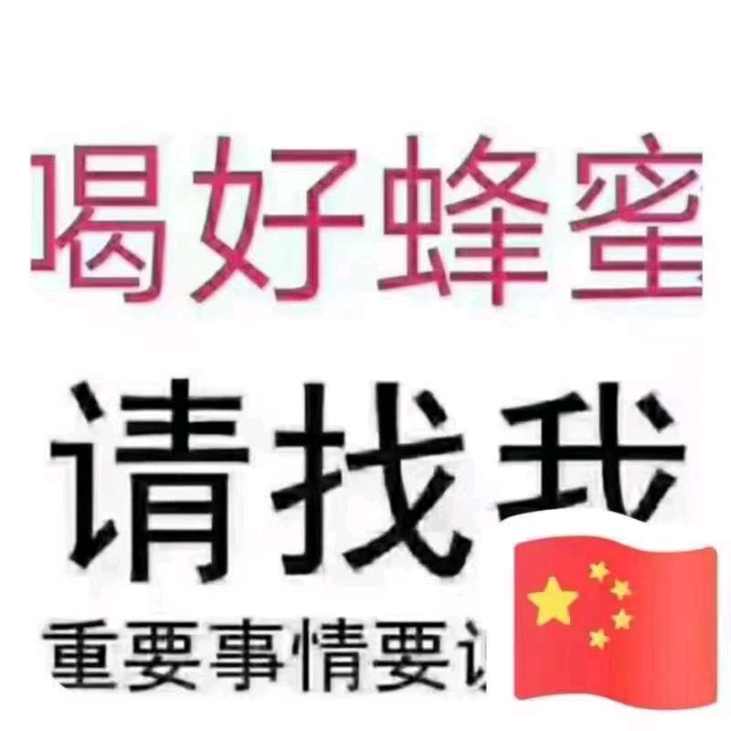 74虎蜂蜜哥
