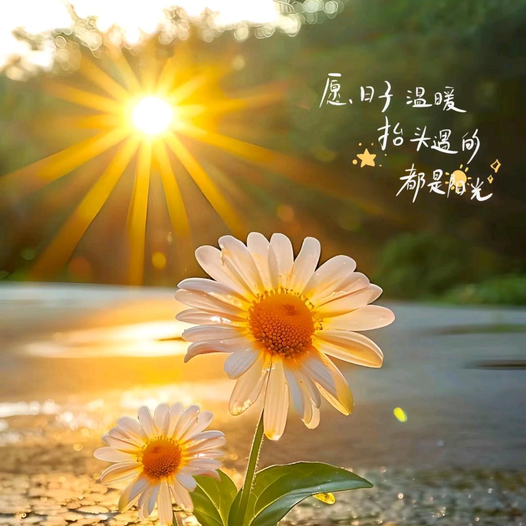 雪儿🔥