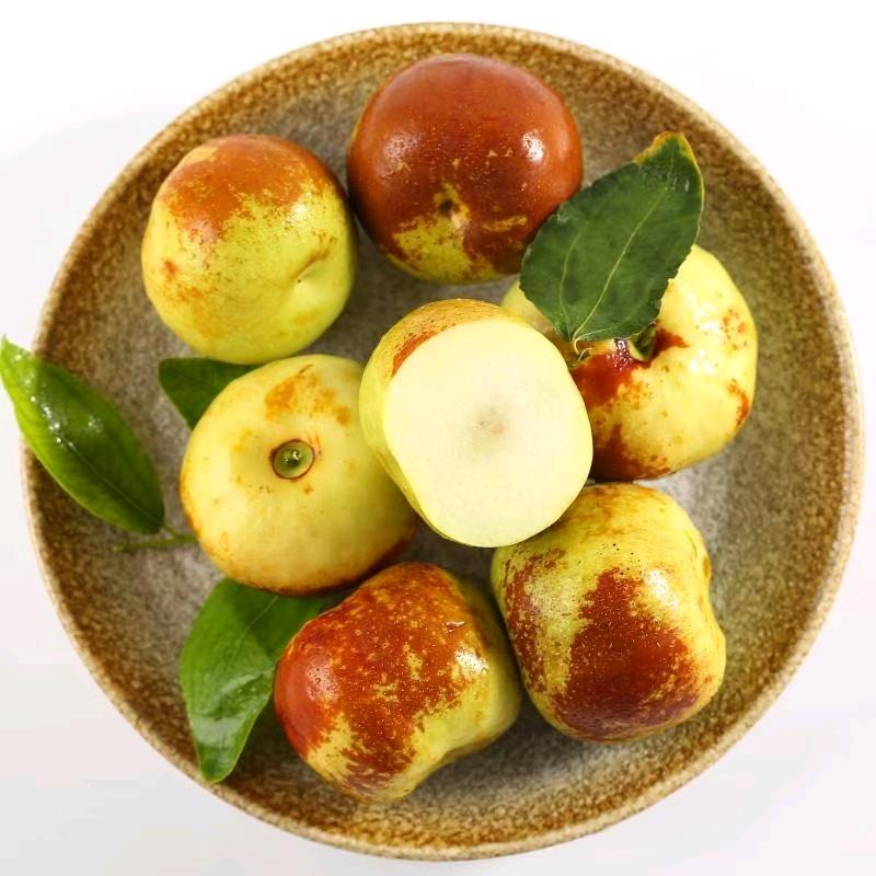 万荣丰登苗木种植专业合作社