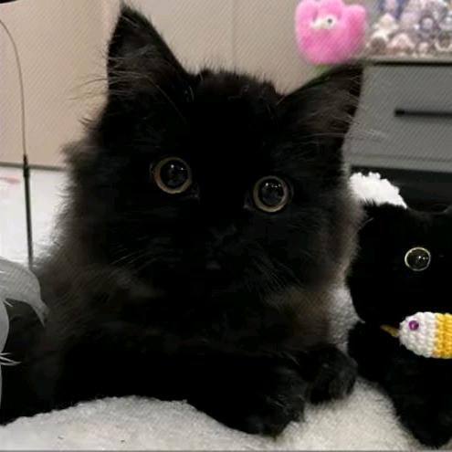 职教产业园升学指导