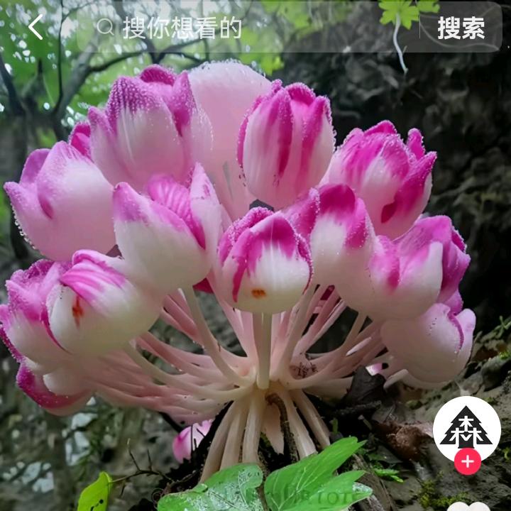 ✨空谷有佳人💫