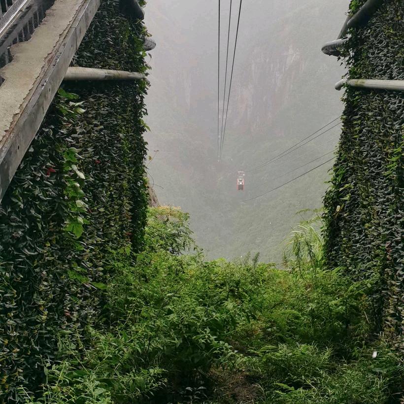 🌥流⚡️浪🌧渽🌂崴🌲
