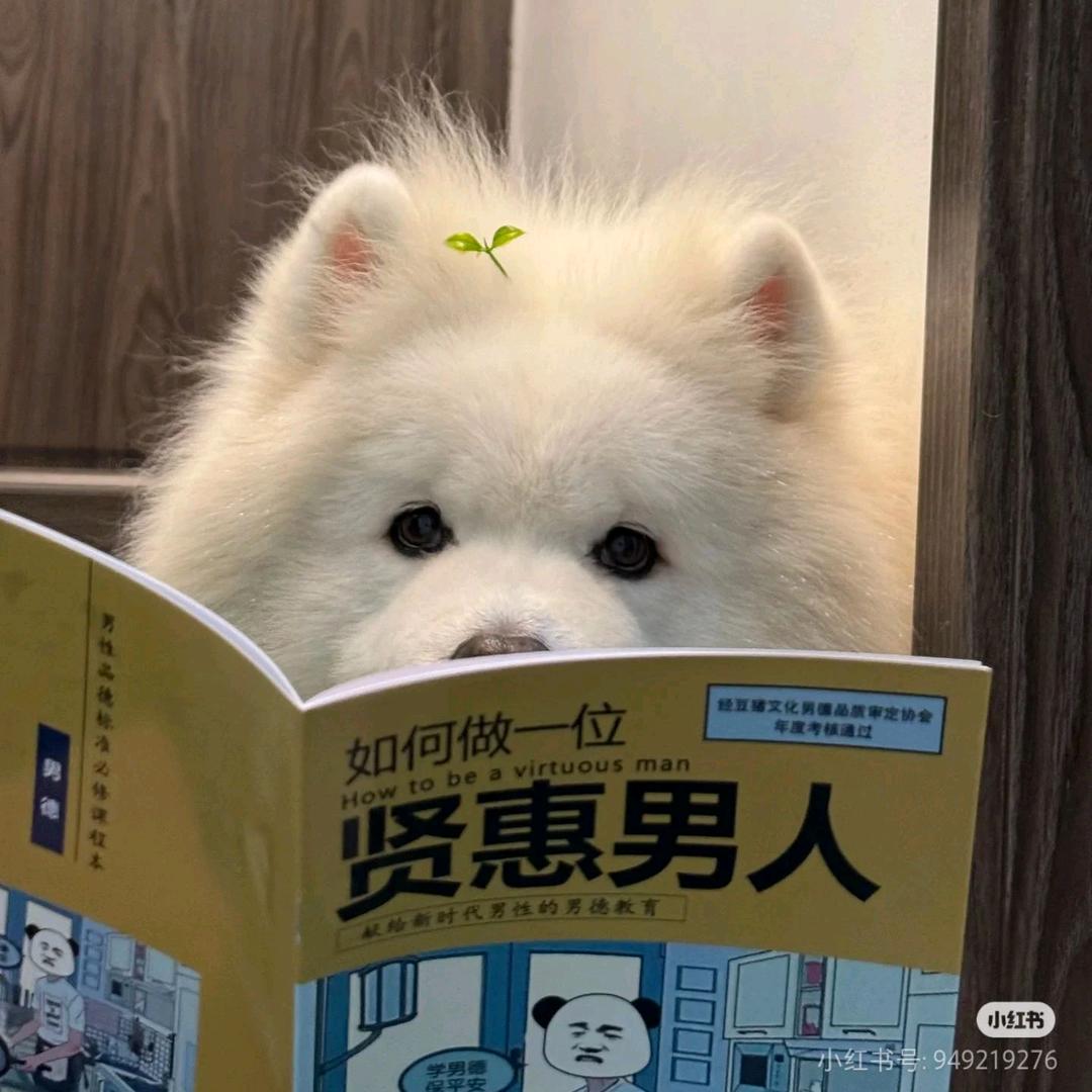 黄润晰