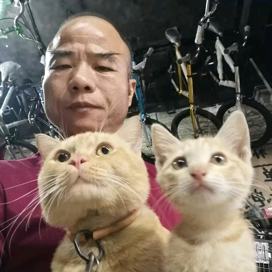 四会华哗