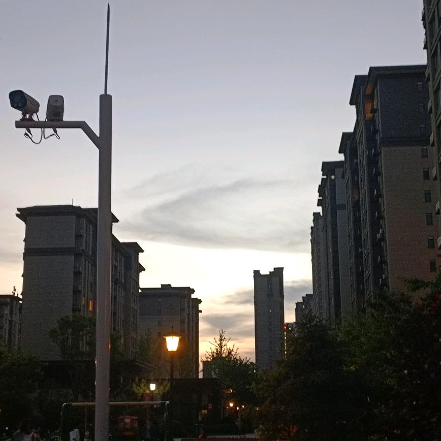 悦悦