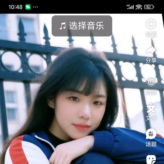 山茶花不懂白玫瑰