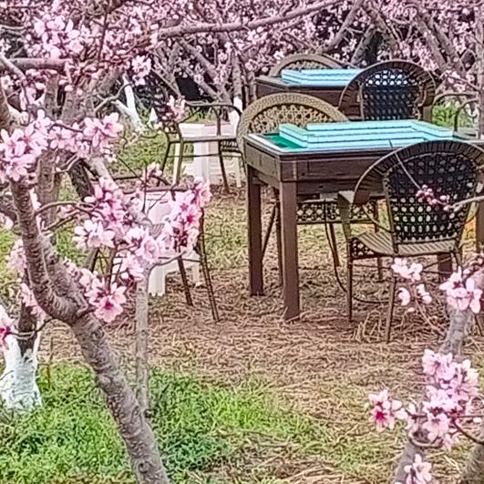 你开心，我快乐