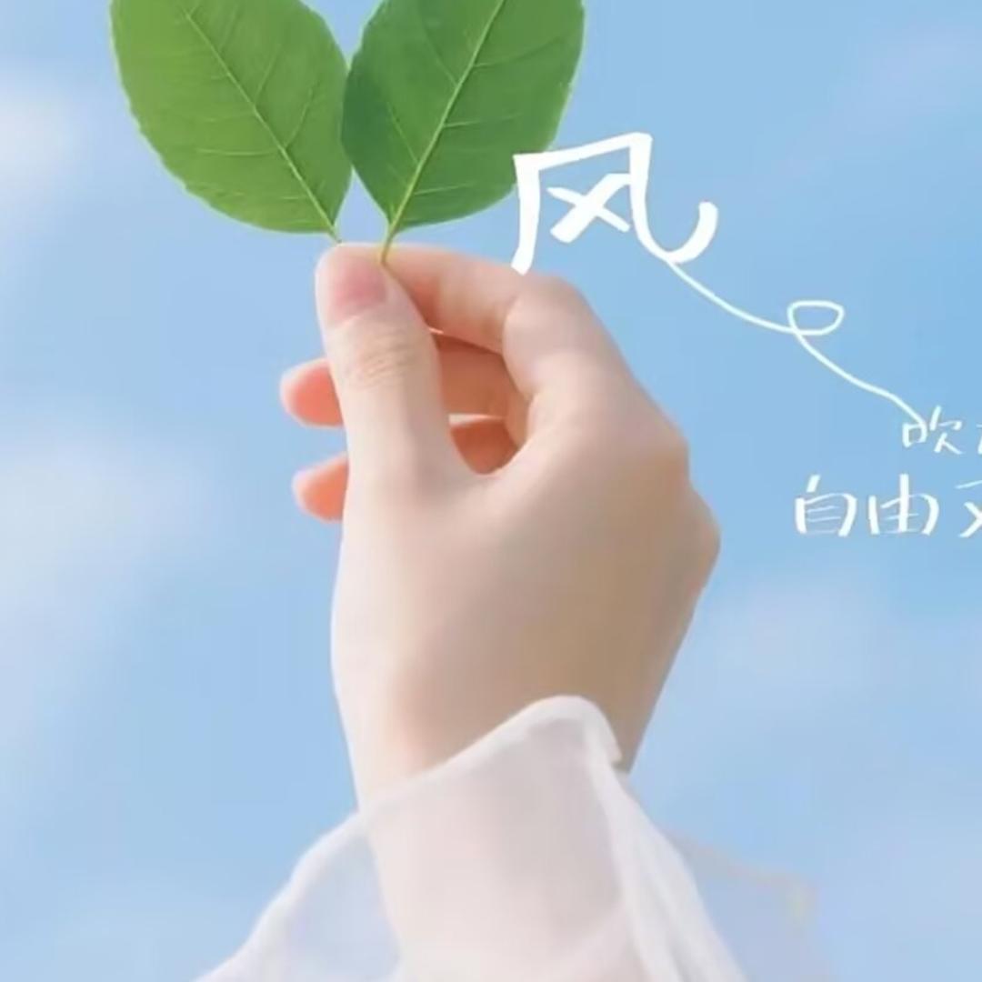 浅夏清影