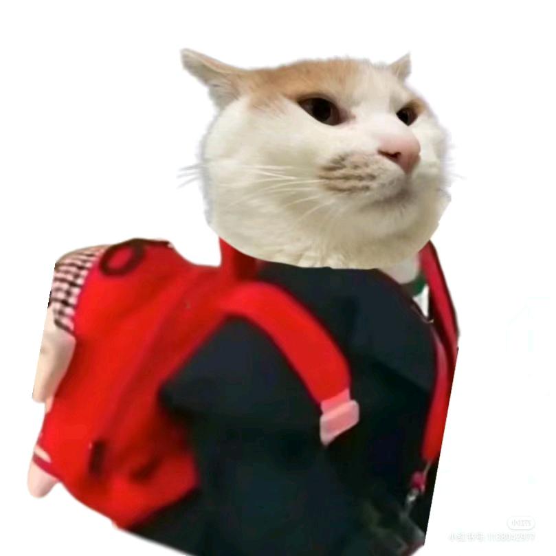 伸张正义