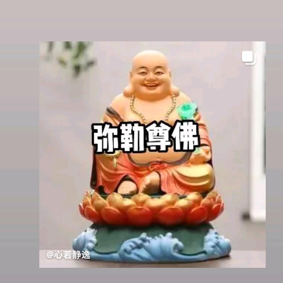 昙花一现