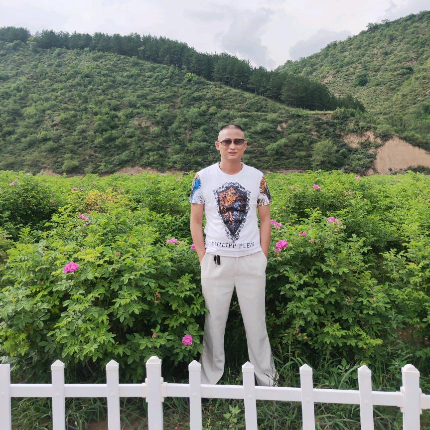 治牙疼老王