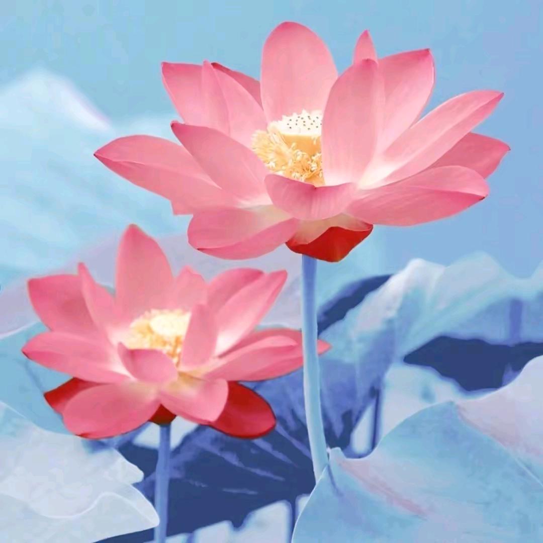 湘小妹